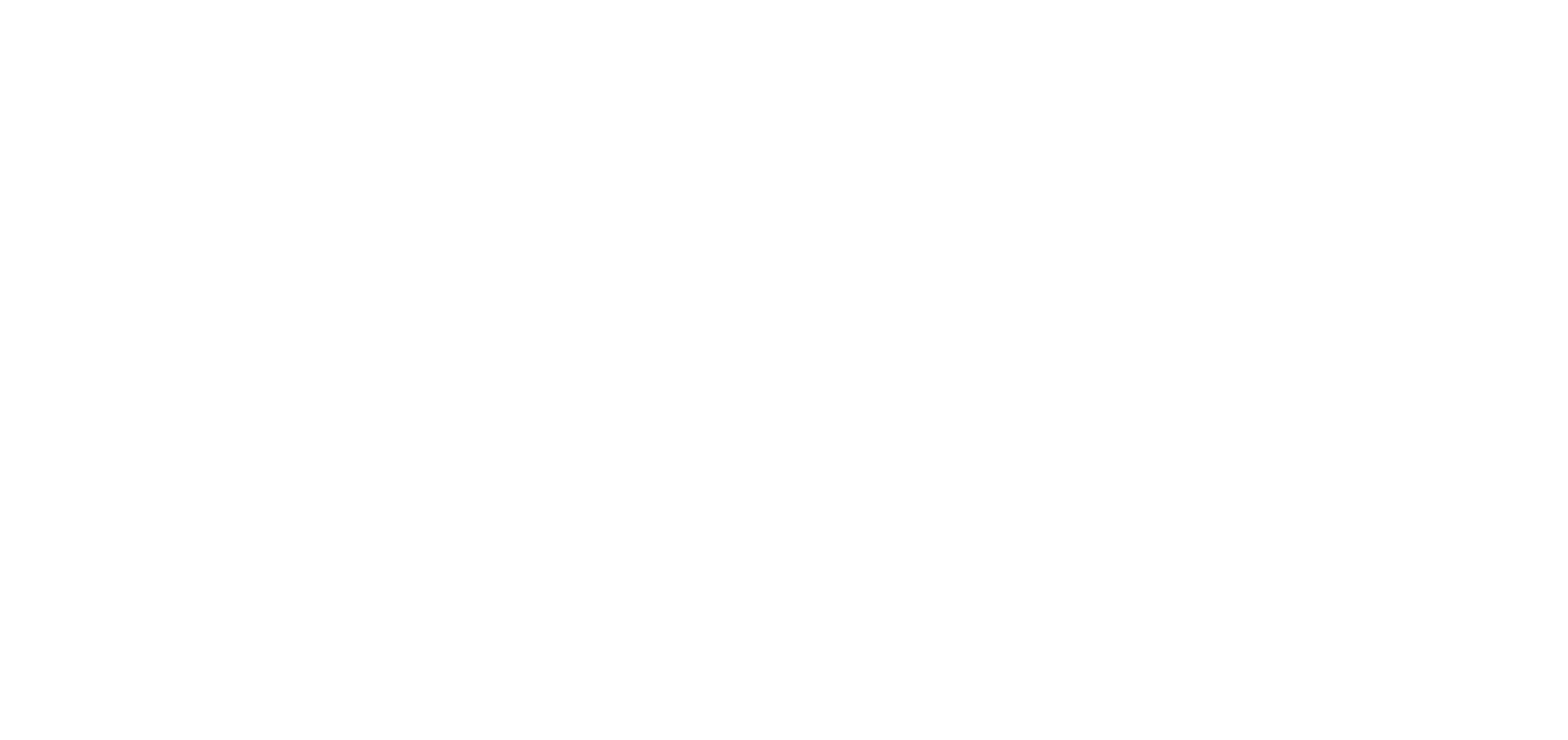 DigiverseStudio logo